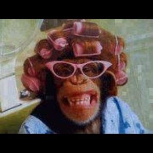 Meet your Posher, Meredith